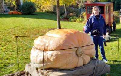 Beware of the Great Pumpkin Careful what you post