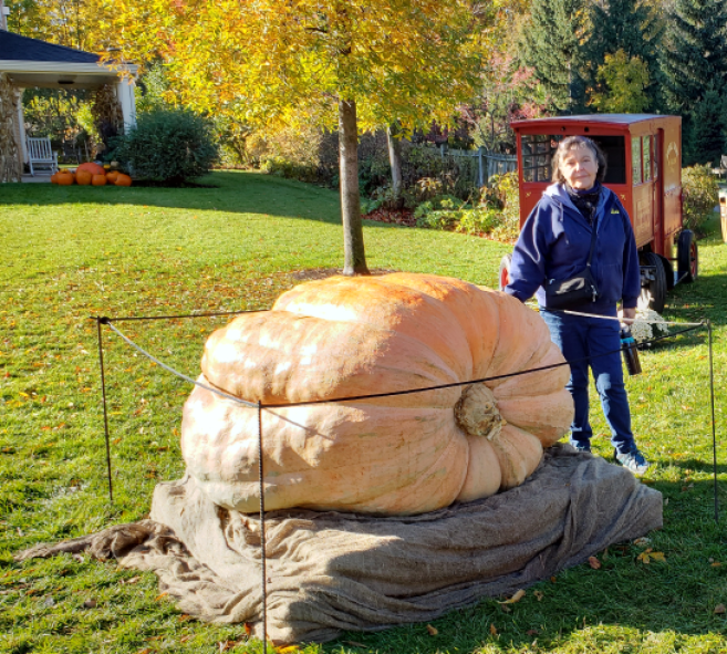 Giant Pumpkin