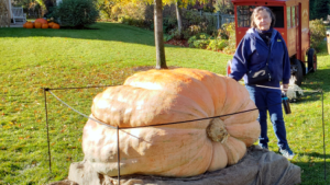 Women Standing next to Giant Pumpkin